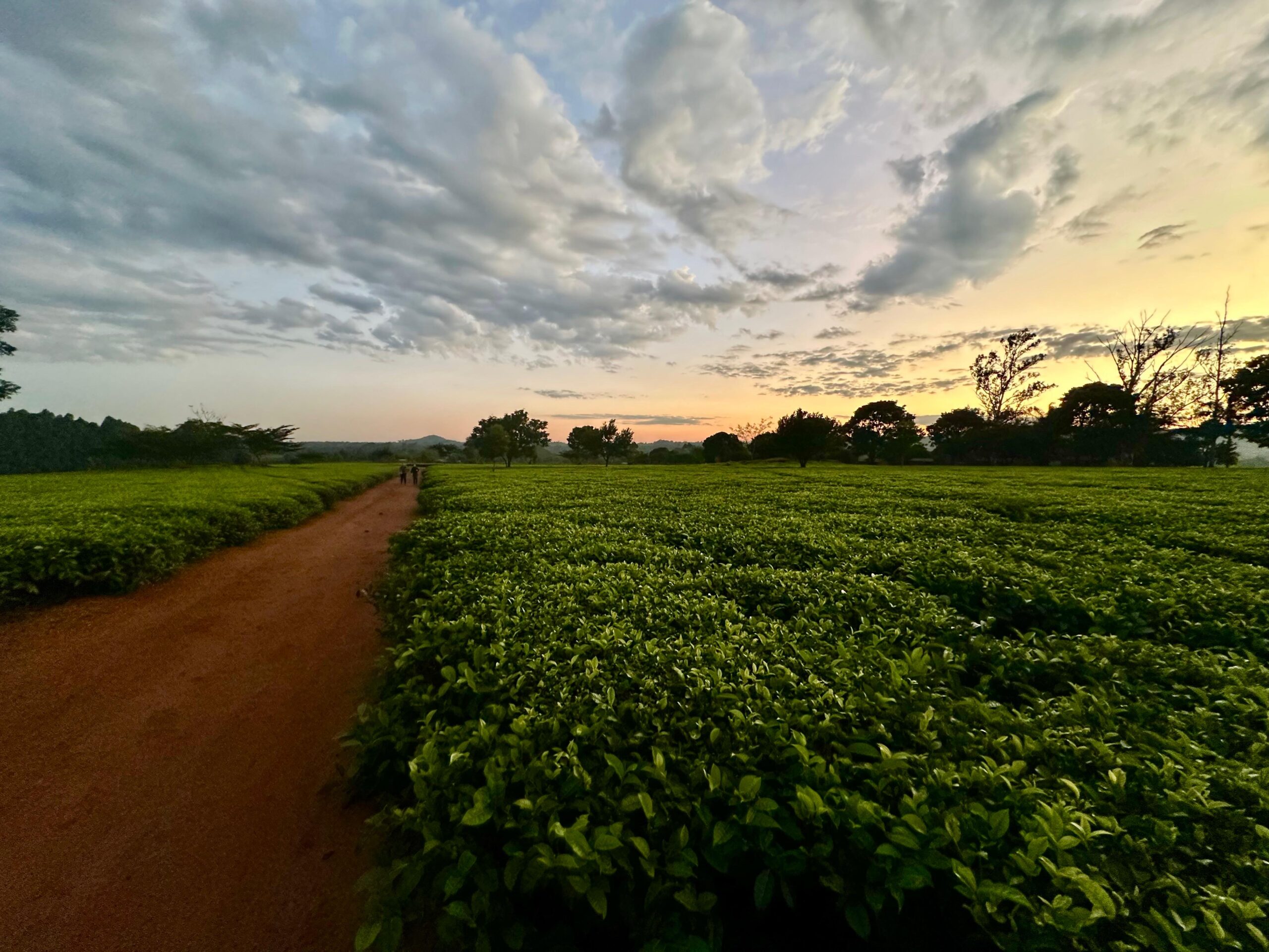 WhatsApp Image 2025 08 28 at 1.15.34 PM 1